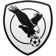 아비스파 후쿠오카 엠블럼