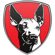 보스턴 셀틱스 엠블럼