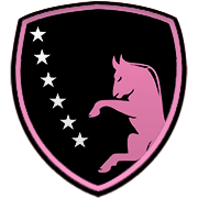 디펜스 포스 FC 엠블럼