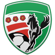 휴스턴 로키츠 엠블럼