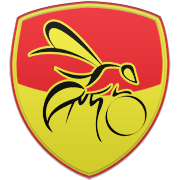 아비스파 후쿠오카 엠블럼