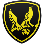 포항 스틸러스 엠블럼