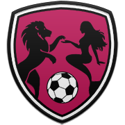 포항 스틸러스 엠블럼