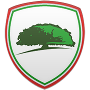 보스턴 셀틱스 엠블럼